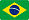 Flag Brazilian